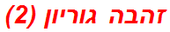 זהבה גוריון (2)
