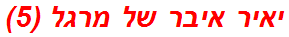 יאיר איבר של מרגל (5)