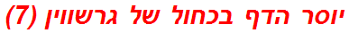 יוסר הדף בכחול של גרשווין (7)