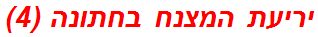 יריעת המצנח בחתונה (4)