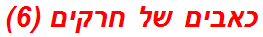 כאבים של חרקים (6)