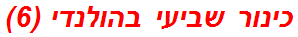 כינור שביעי בהולנדי (6)