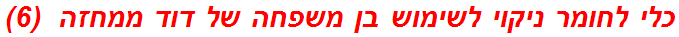 כלי לחומר ניקוי לשימוש בן משפחה של דוד ממחזה  (6)