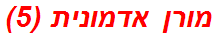 מורן אדמונית (5)