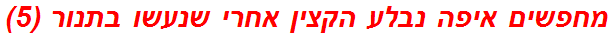 מחפשים איפה נבלע הקצין אחרי שנעשו בתנור (5)