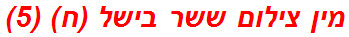 מין צילום ששר בישל (ח) (5)