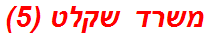 משרד שקלט (5)
