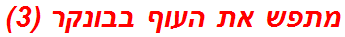 מתפש את העוף בבונקר (3)
