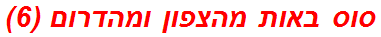 סוס באות מהצפון ומהדרום (6)