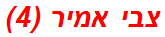 צבי אמיר (4)