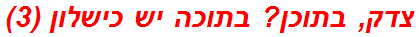 צדק, בתוכן? בתוכה יש כישלון (3)
