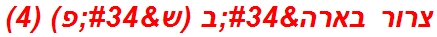 צרור בארה"ב (ש"פ) (4)