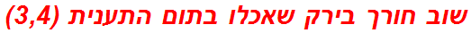 שוב חורך בירק שאכלו בתום התענית (3,4)