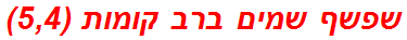 שפשף שמים ברב קומות (5,4)