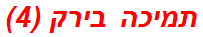 תמיכה בירק (4)
