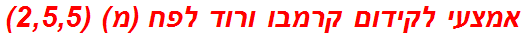 אמצעי לקידום קרמבו ורוד לפח (מ) (2,5,5)