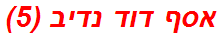 אסף דוד נדיב (5)