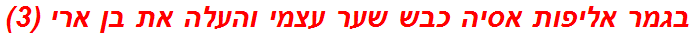 בגמר אליפות אסיה כבש שער עצמי והעלה את בן ארי (3)