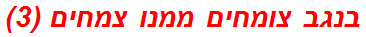 בנגב צומחים ממנו צמחים (3)