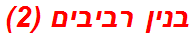 בנין רביבים (2)