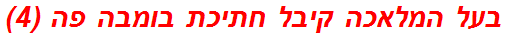 בעל המלאכה קיבל חתיכת בומבה פה (4)