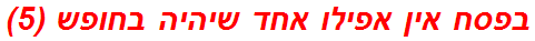 בפסח אין אפילו אחד שיהיה בחופש (5)