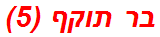 בר תוקף (5)