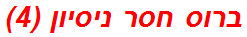ברוס חסר ניסיון (4)