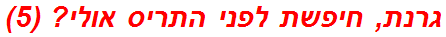 גרנת, חיפשת לפני התריס אולי? (5)