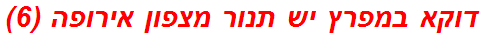 דוקא במפרץ יש תנור מצפון אירופה (6)