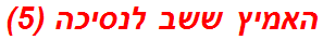 האמיץ ששב לנסיכה (5)