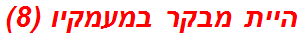 היית מבקר במעמקיו (8)