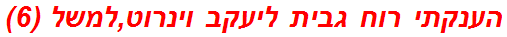הענקתי רוח גבית ליעקב וינרוט,למשל (6)
