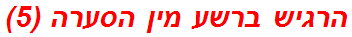 הרגיש ברשע מין הסערה (5)