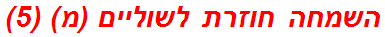 השמחה חוזרת לשוליים (מ) (5)