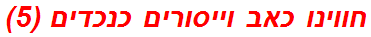 חווינו כאב וייסורים כנכדים (5)