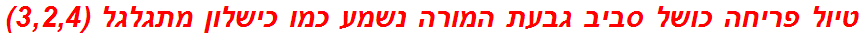 טיול פריחה כושל סביב גבעת המורה נשמע כמו כישלון מתגלגל (3,2,4)