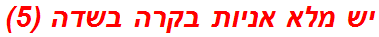 יש מלא אניות בקרה בשדה (5)