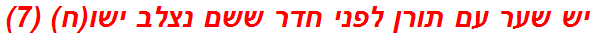 יש שער עם תורן לפני חדר ששם נצלב ישו(ח) (7)
