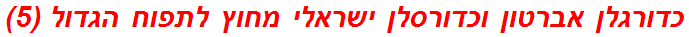 כדורגלן אברטון וכדורסלן ישראלי מחוץ לתפוח הגדול (5)