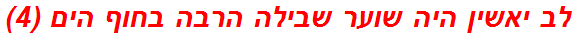 לב יאשין היה שוער שבילה הרבה בחוף הים (4)
