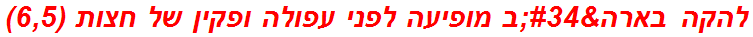 להקה בארה"ב מופיעה לפני עפולה ופקין של חצות (6,5)