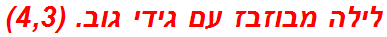 לילה מבוזבז עם גידי גוב. (4,3)