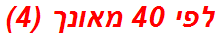 לפי 40 מאונך (4)