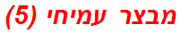 מבצר עמיחי (5)