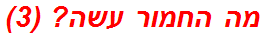 מה החמור עשה? (3)