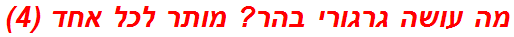 מה עושה גרגורי בהר? מותר לכל אחד (4)