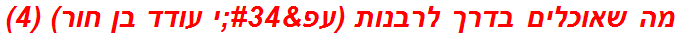 מה שאוכלים בדרך לרבנות (עפ"י עודד בן חור) (4)