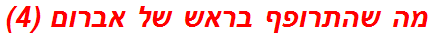 מה שהתרופף בראש של אברום (4)