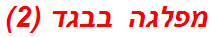 מפלגה בבגד (2)